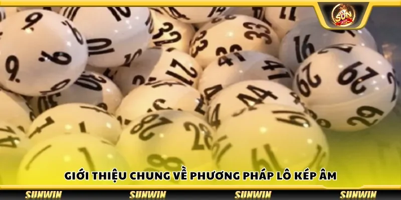 Giới thiệu chung về phương pháp lô kép âm
