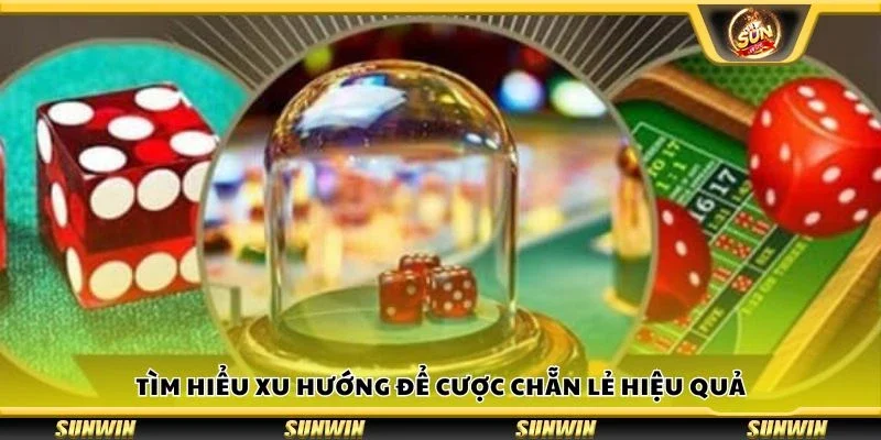 Tìm hiểu xu hướng để cược chẵn lẻ hiệu quả